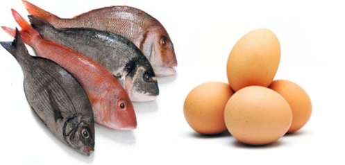 ماهی و تخم مرغ