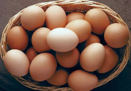 تخم‌مرغ به عنوان منبع پروتئین