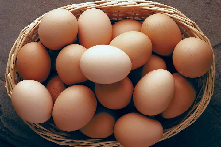 تخم‌مرغ به عنوان منبع پروتئین