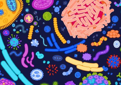 باکتری‌ها و ویروس‌های روده