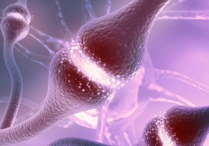 نوروترنسمیتر‌ها یا انتقال دهنده‌های عصبی