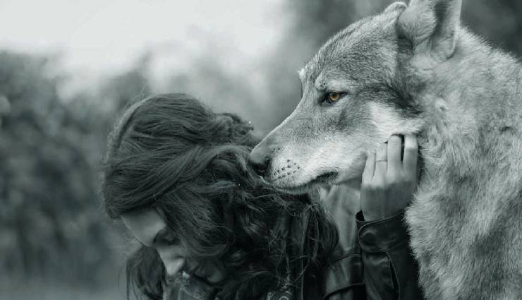زنانی که با گرگ‌ها می‌دوند